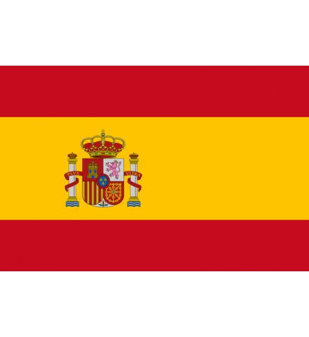 API REGNUM service for Spain