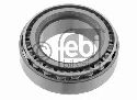 FEBI BILSTEIN 19291 - Wheel Bearing Rear Axle left and right