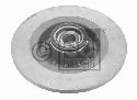 FEBI BILSTEIN 21299 - Brake Disc Rear Axle RENAULT