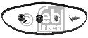 FEBI BILSTEIN 23290 - Timing Belt Kit