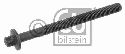 FEBI BILSTEIN 24098 - Cylinder Head Bolt