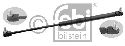 FEBI BILSTEIN 24842 - Gas Spring, boot-/cargo area Left and right MAN