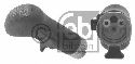 FEBI BILSTEIN 29168 - Gear Lever Knob DAF