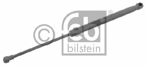 FEBI BILSTEIN 29259 - Gas Spring, boot-/cargo area Left and right BMW