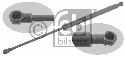 FEBI BILSTEIN 29286 - Gas Spring, bonnet Left and right LEXUS