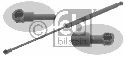 FEBI BILSTEIN 29290 - Gas Spring, boot-/cargo area Left and right