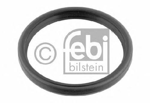 FEBI BILSTEIN 29724 - Seal Ring, stub axle Front Axle