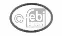 FEBI BILSTEIN 29736 - Seal Ring, stub axle DAF