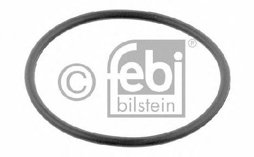 FEBI BILSTEIN 29737 - Seal Ring, stub axle Front Axle DAF