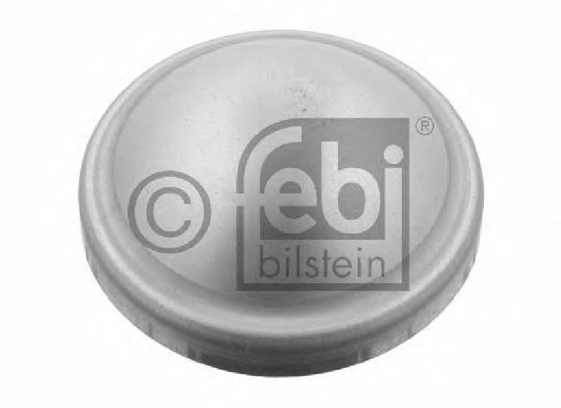 FEBI BILSTEIN 29854 - Cap, wheel bearing Rear Axle left and right FORD