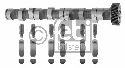 FEBI BILSTEIN 29918 - Camshaft Kit