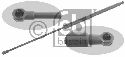 FEBI BILSTEIN 31049 - Gas Spring, boot-/cargo area Left and right HONDA