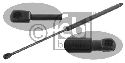 FEBI BILSTEIN 31645 - Gas Spring, boot-/cargo area Left and right VW