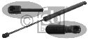 FEBI BILSTEIN 31683 - Gas Spring, boot-/cargo area Left and right AUDI