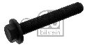 FEBI BILSTEIN 33681 - Pulley Bolt