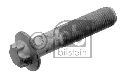 FEBI BILSTEIN 33704 - Pulley Bolt Front