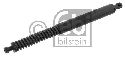 FEBI BILSTEIN 34419 - Gas Spring, boot-/cargo area Left and right PEUGEOT