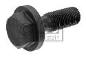 FEBI BILSTEIN 35972 - Screw