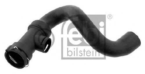 FEBI BILSTEIN 36279 - Radiator Hose Lower