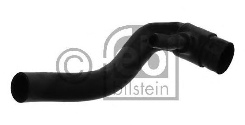 FEBI BILSTEIN 36781 - Radiator Hose Lower