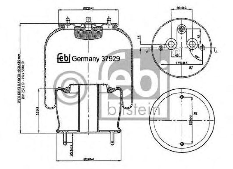 FEBI BILSTEIN 37929 - Boot, air suspension Front Axle SCANIA