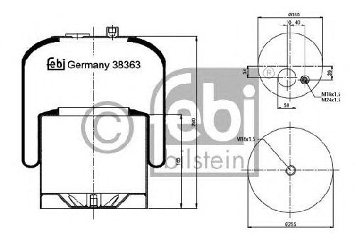 FEBI BILSTEIN 38363 - Boot, air suspension Rear Axle left and right MERCEDES-BENZ