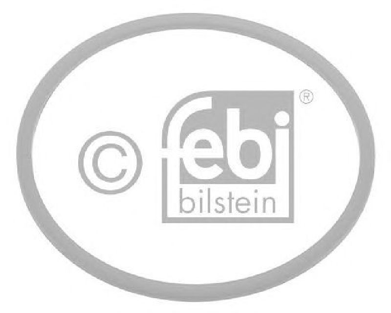 FEBI BILSTEIN 02389 - Seal Ring Rear Axle