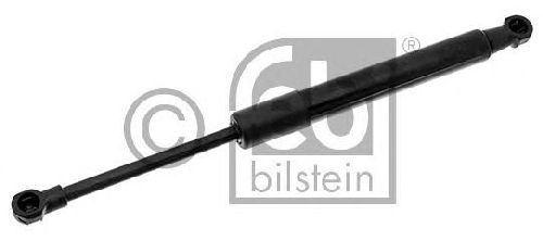 FEBI BILSTEIN 40901 - Gas Spring, boot-/cargo area Left and right BMW