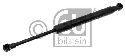 FEBI BILSTEIN 40901 - Gas Spring, boot-/cargo area Left and right BMW