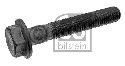 FEBI BILSTEIN 43596 - Screw