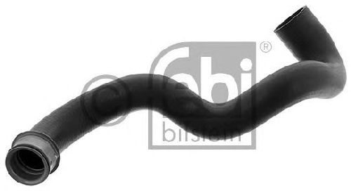 FEBI BILSTEIN 46384 - Radiator Hose Lower