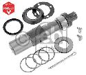 FEBI BILSTEIN 03498 - Repair Kit, kingpin PROKIT Left and right