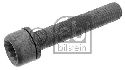 FEBI BILSTEIN 48817 - Screw