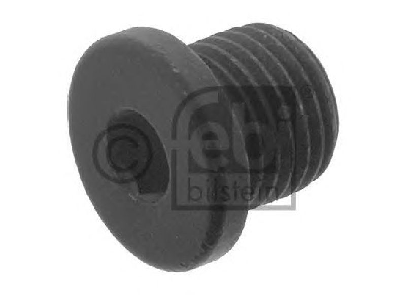 FEBI BILSTEIN 48874 - Oil Drain Plug, oil pan PORSCHE, AUDI, VW, SKODA, SEAT