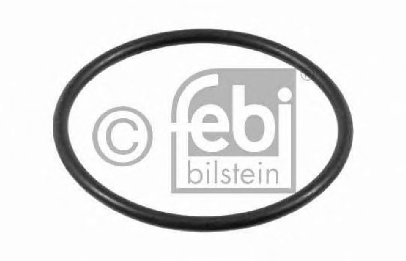FEBI BILSTEIN 03725 - Seal Ring, stub axle Front Axle left and right MAN