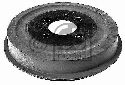 FEBI BILSTEIN 04098 - Brake Drum Rear Axle