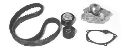 AISIN TKN-901 - Water Pump & Timing Belt Kit RENAULT