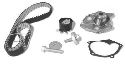 AISIN TKN-904 - Water Pump & Timing Belt Kit RENAULT, NISSAN, DACIA