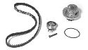 AISIN TKO-909 - Water Pump & Timing Belt Kit DAEWOO, CHEVROLET