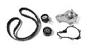 AISIN TKZ-901 - Water Pump & Timing Belt Kit FORD, CITROËN, PEUGEOT, VOLVO, FIAT, MINI