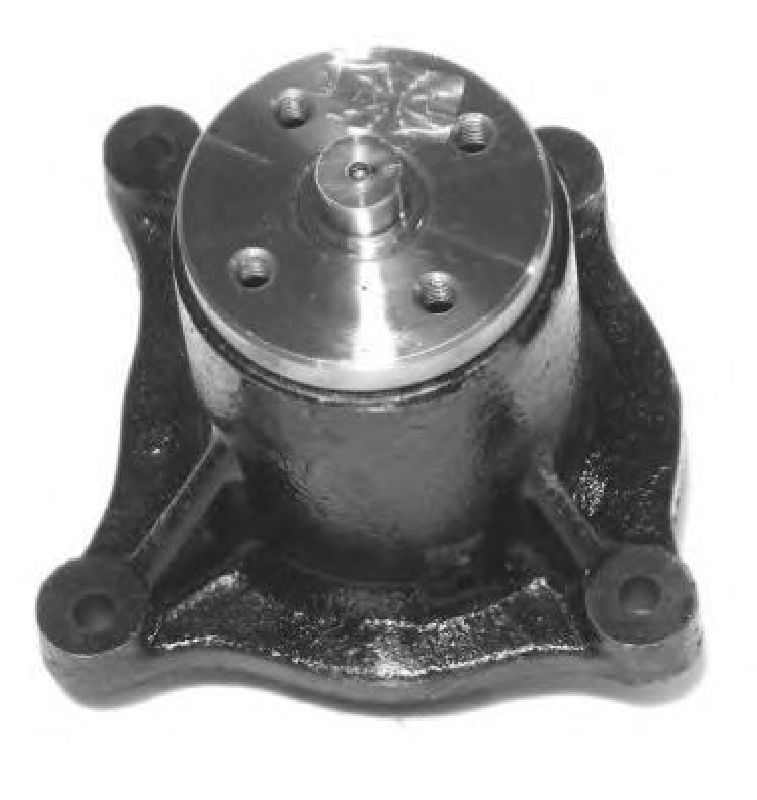 AISIN WPY-002 - Water Pump ALPINA