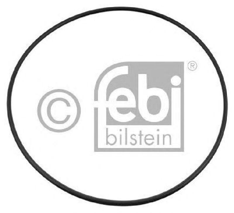 FEBI BILSTEIN 04273 - Seal Ring Front Axle left and right
