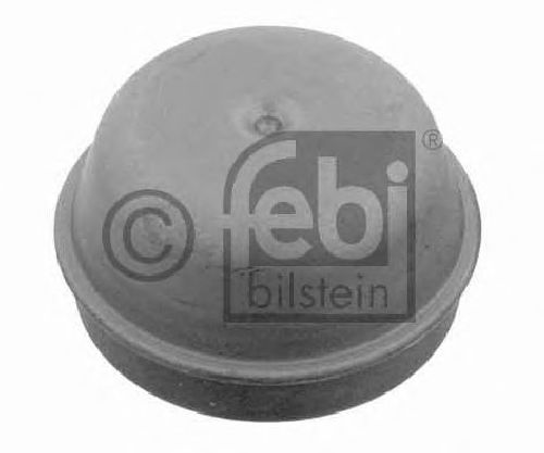 FEBI BILSTEIN 05286 - Protection Lid, wheel hub Front Axle left and right