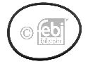 FEBI BILSTEIN 06205 - Seal Ring Rear Axle left and right