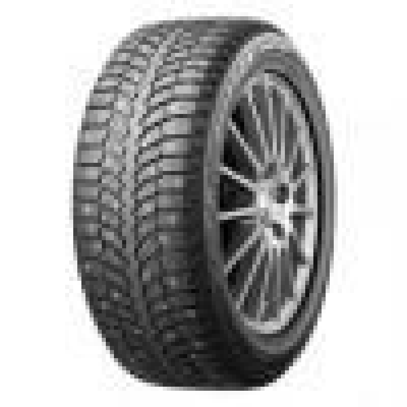 Bridgestone  Blizzak Spike-01 255/55 R18 109T