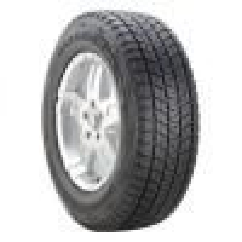 Bridgestone  Blizzak DM-V1 215/70 R17 101R