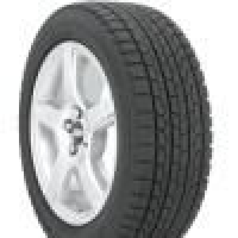 Bridgestone  Blizzak Revo1 205/55 R16 91Q