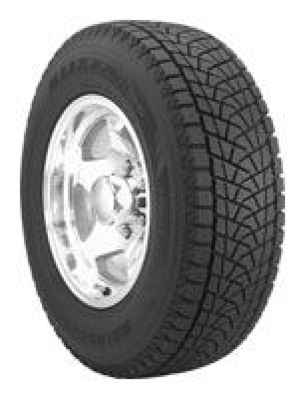 Bridgestone  Blizzak DM-Z3 225/70 R15 100T