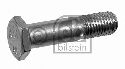 FEBI BILSTEIN 07202 - Screw