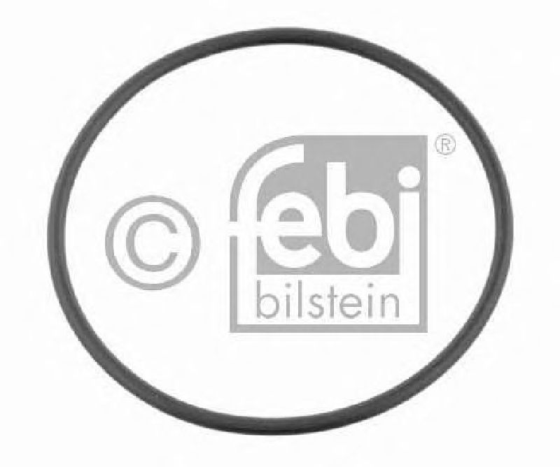 FEBI BILSTEIN 08172 - Seal Ring, stub axle Rear Axle left and right